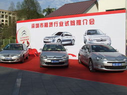 強(qiáng)強(qiáng)聯(lián)手 東風(fēng)雪鐵龍汽車租賃行業(yè)試駕會(huì)圓滿舉行