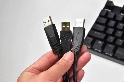 百元級熱門機(jī)械鍵盤怎么選 微星gk50z 惠普gk100 雷柏v500pro橫評